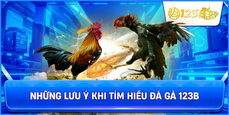 Những Lưu Ý Khi Tìm Hiểu Đá Gà 123B