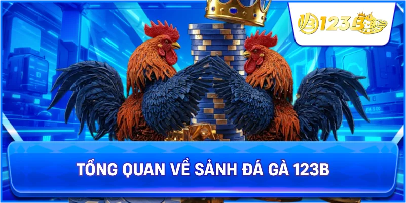 Tổng Quan Về Sảnh Đá Gà 123B